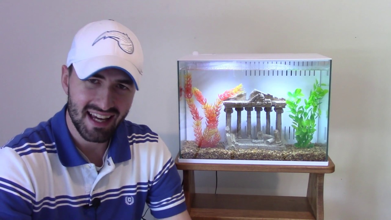 Top Fin 5G Engage Aquarium Review!