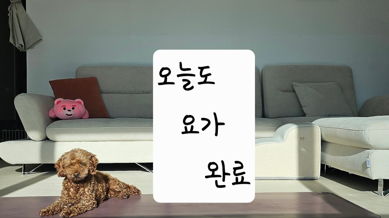 Day3 긴버전 인증) 오늘도 45분 착실한 수련