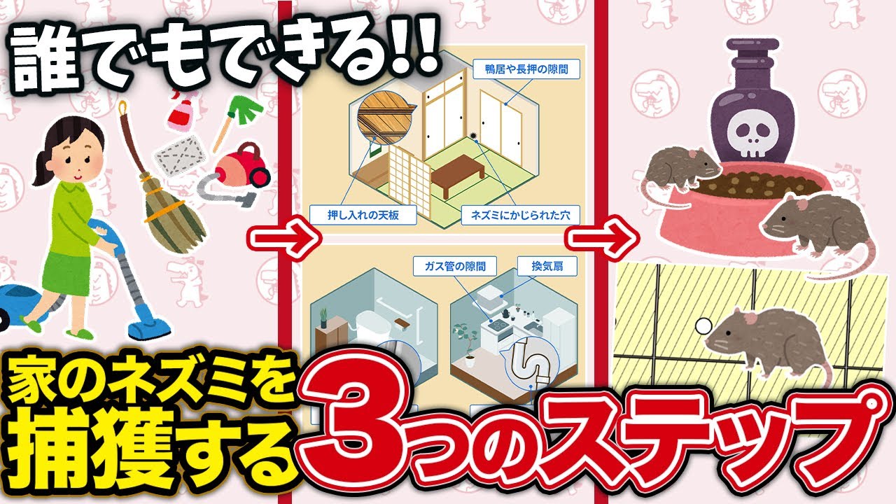 誰でもできる！家のネズミを捕獲する3つのステップ🐭🧹