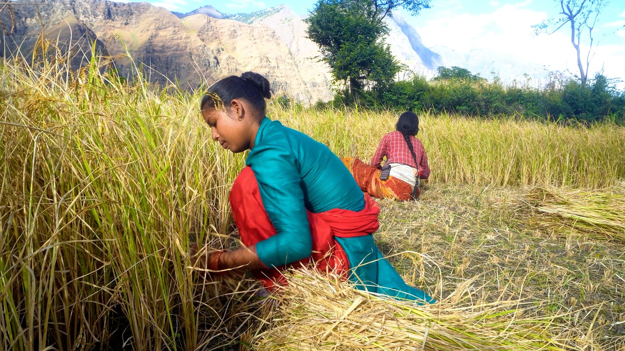 life in rural Nepal || @ruralnepall