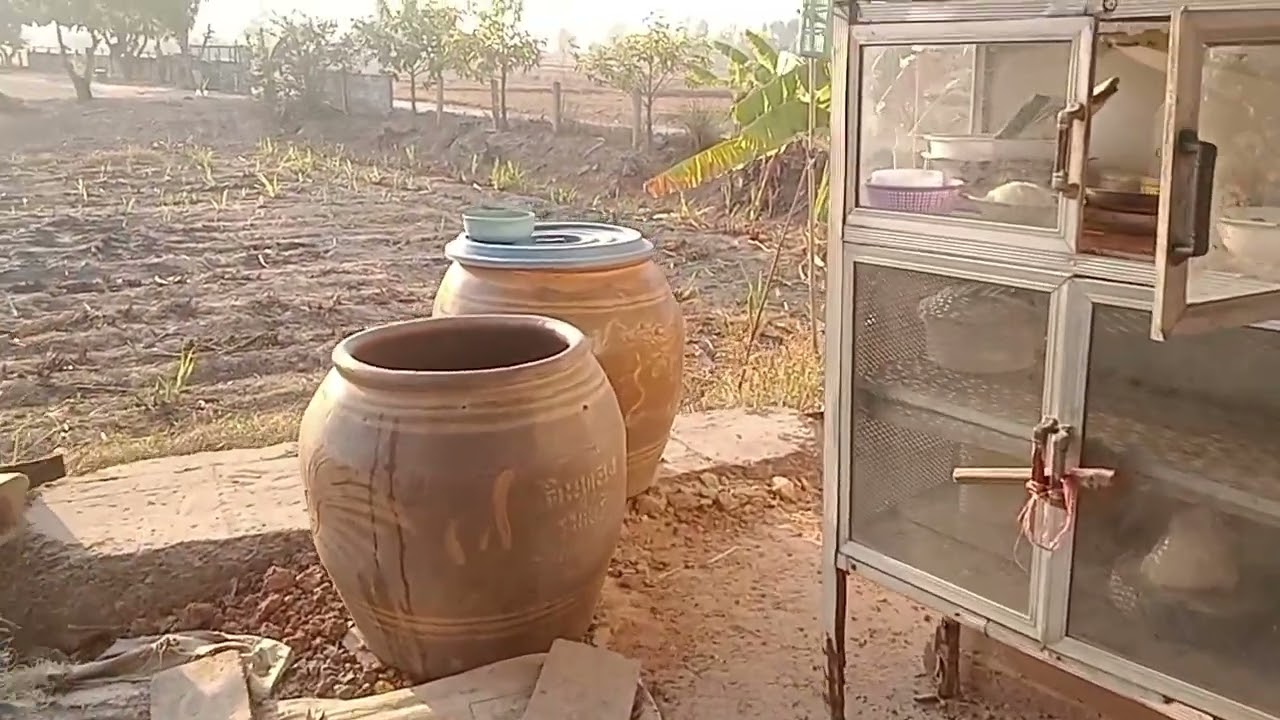 มาไห่มานายามเช้าๆอากาศดีมาก..ไก่กะป่ะลูกแล่ว