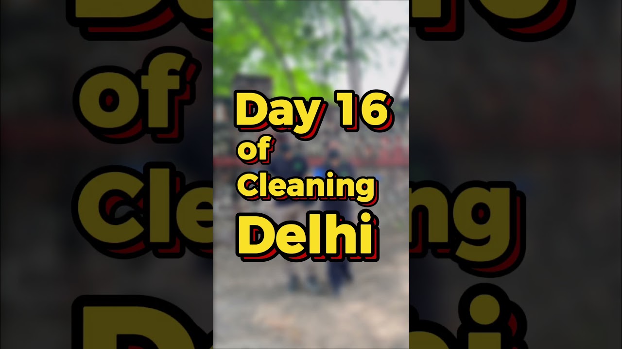 Day 16 ✅ | Central Ridge Forest Cleanup