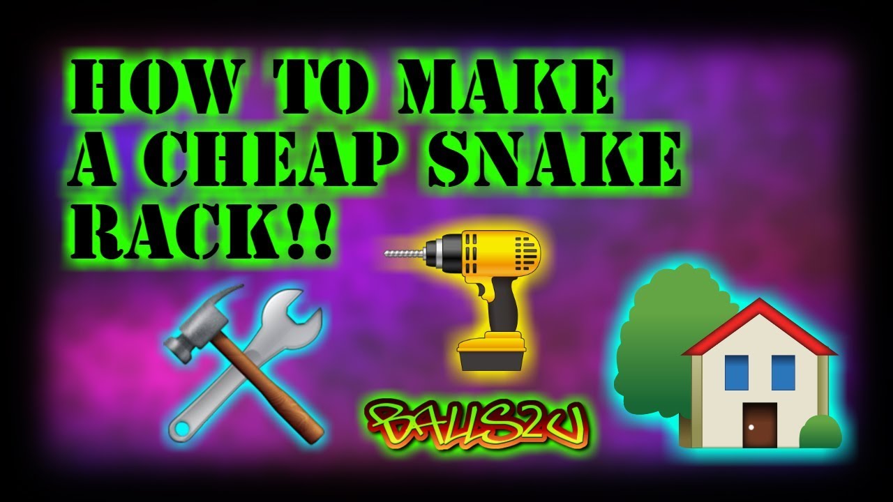 Cheap and easy reptile/snake rack 🐍🐍🐍