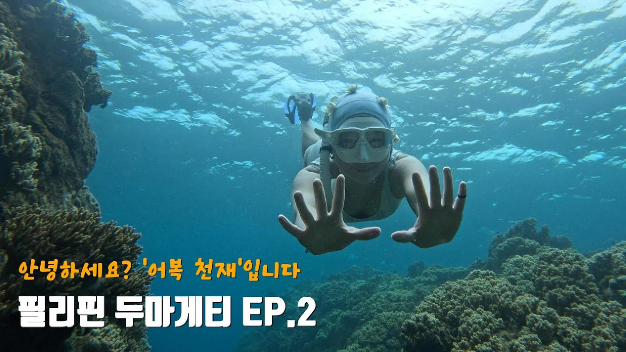 [프리다이빙 투어] 돌고래 옆에 거북이 옆에 물고기 옆에 물고기, 필리핀 두마게티 투어 ep.2