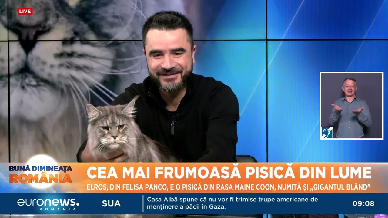 Cea mai frumoasă pisică din lume, în studioul Euronews România