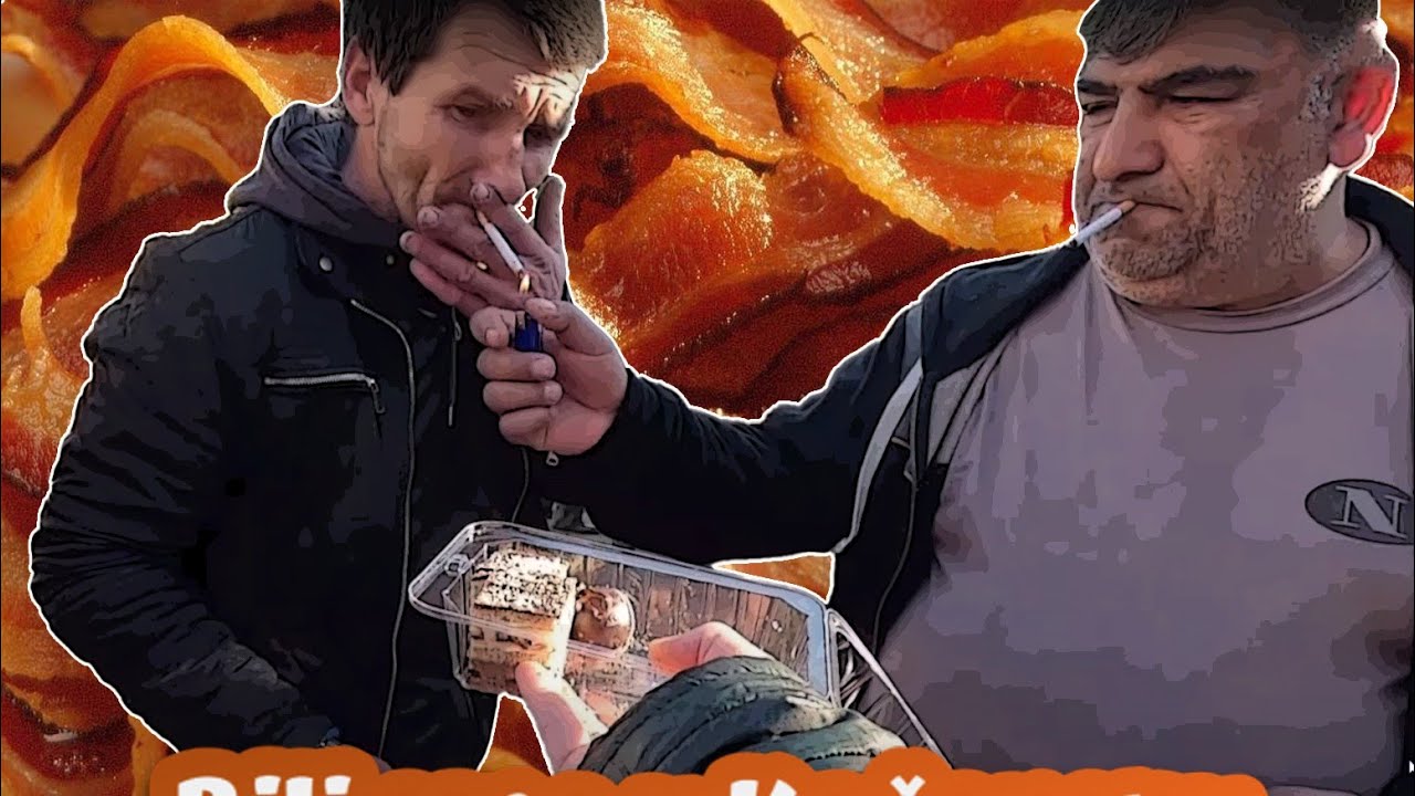 KAČAREVO 