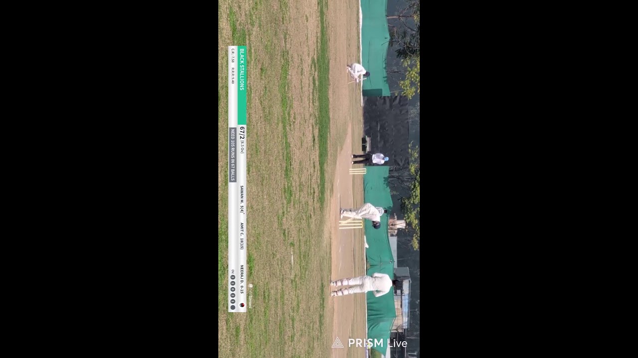Live streaming of Black Stallions