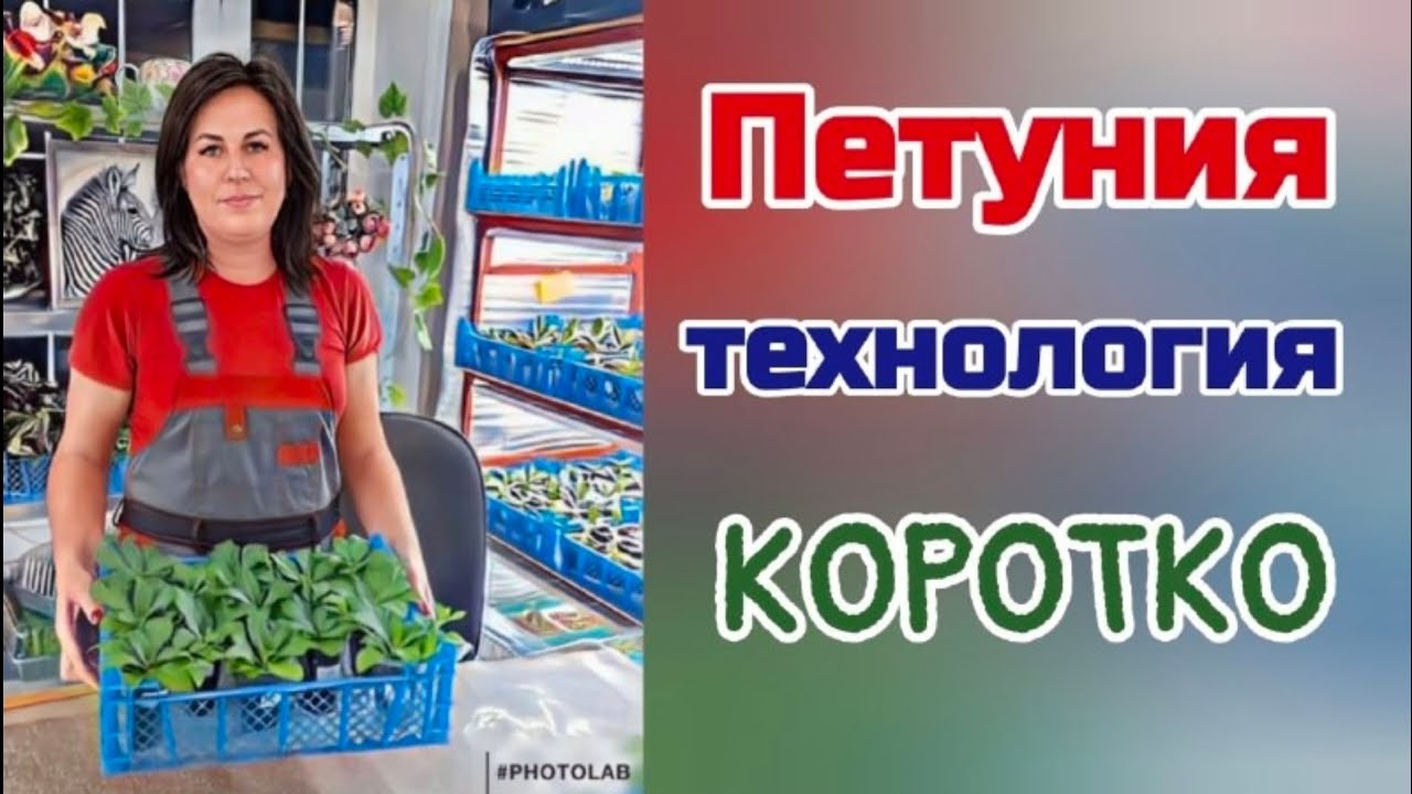 Технология выращивания петунии. КОРОТКО.