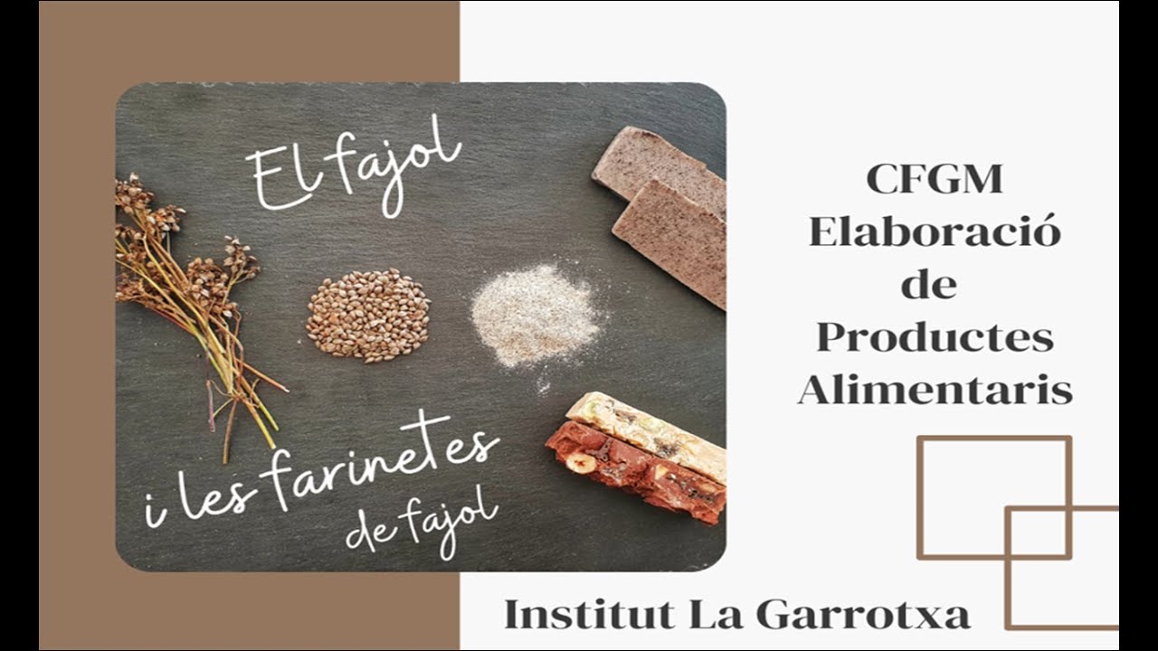 El fajol i les farinetes de fajol. Institut La Garrotxa.