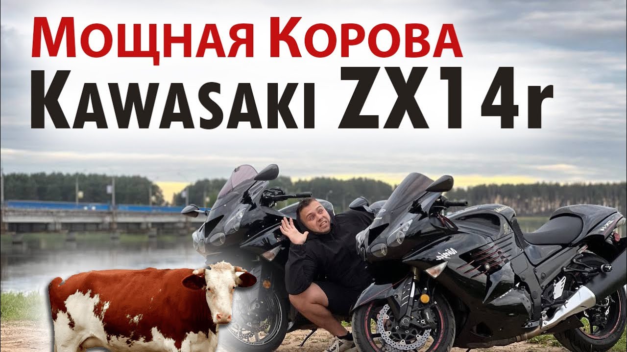 Корова Kawasaki zx14 - 200л.с.
