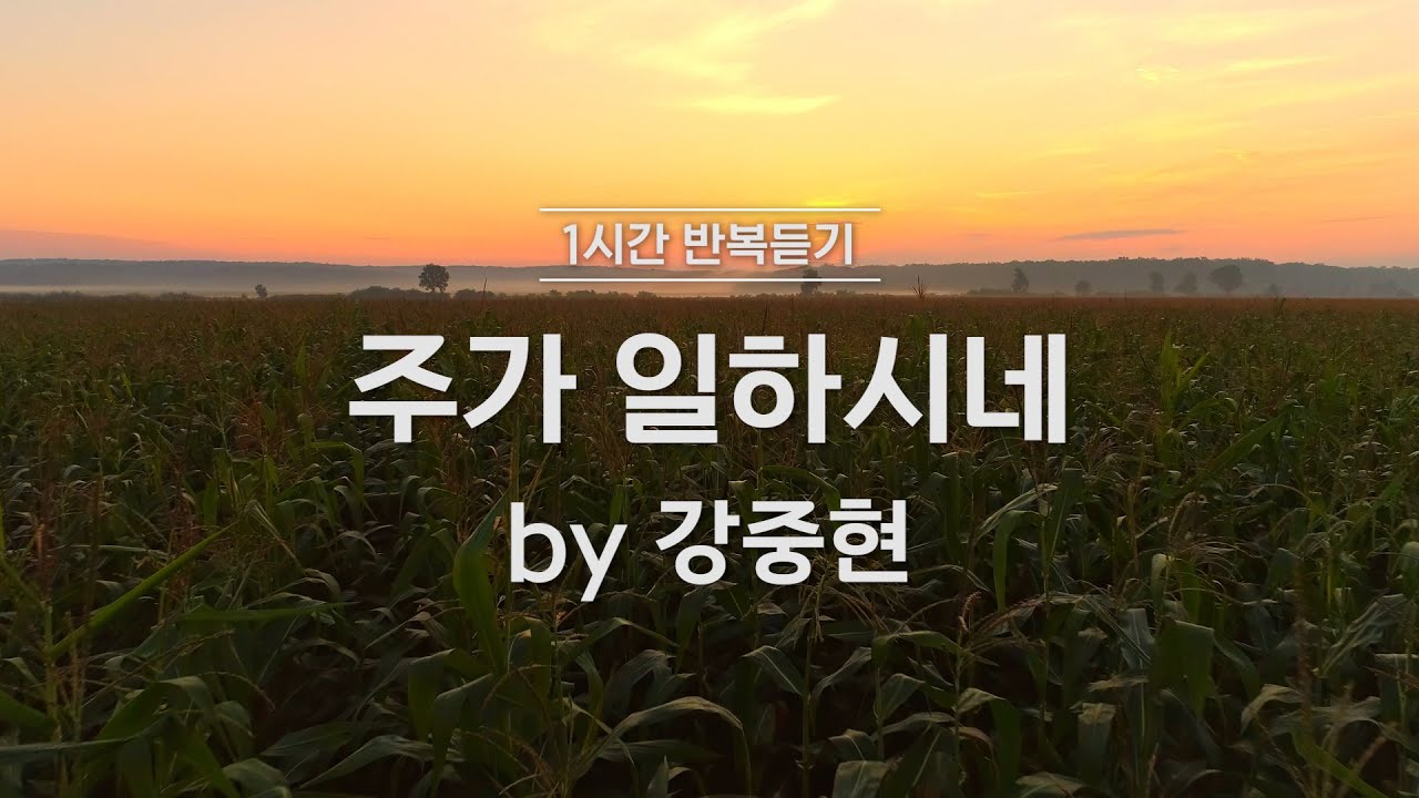 [1시간반복 듣기]  주가 일하시네 by 강중현