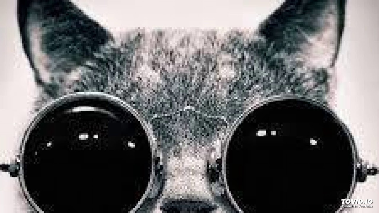 Earstrip & Torha - Who's That (Original Mix)