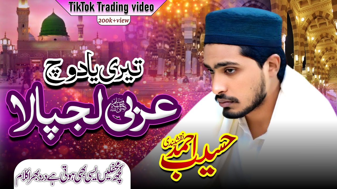 Teri Yaad Wich Arabi Lajpala || Punjabi Kalam 2025 || Haseeb Ahmed |#2025 #punjabikalam #viralvideo