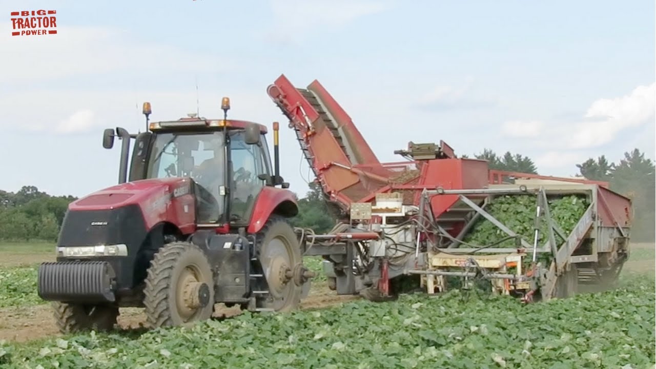 CUCUMBER HARVEST | PIK-RITE 3000
