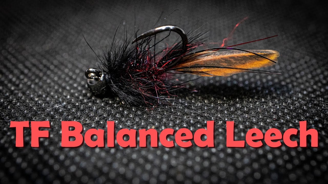 Balanced Leech Fly Tying - A More Leechy Leech?!?!?