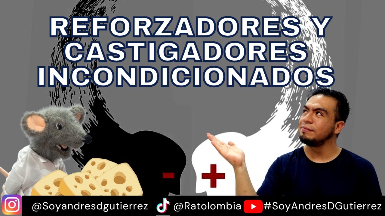 Reforzadores y castigadores incondicionados