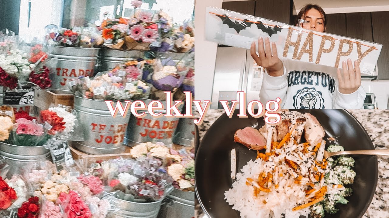 a productive sunday in my life | early morning, trader joes haul, nursing school, greenchef meal etc