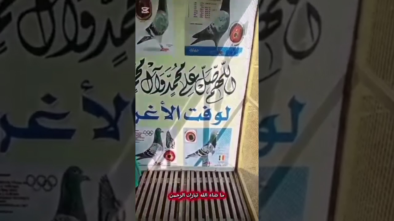 ٣٠ ديسمبر ٢٠٢٥