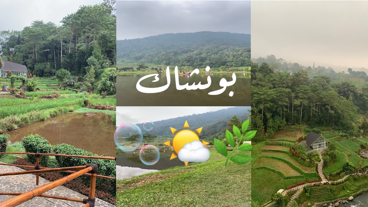 فلوق سفرة الصيف إلى إندونيسيا 🇮🇩🌿#بونشاك الجزء الاول🤍🫧🌧️🌤️