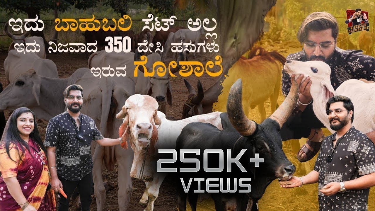 375 ದೇಸಿ ಹಸುಗಳು ಇರುವ ಗೋಶಾಲೆ | Sanctuary For Cows And Calf | Kannada Vlogs | Niranjan Deshpande