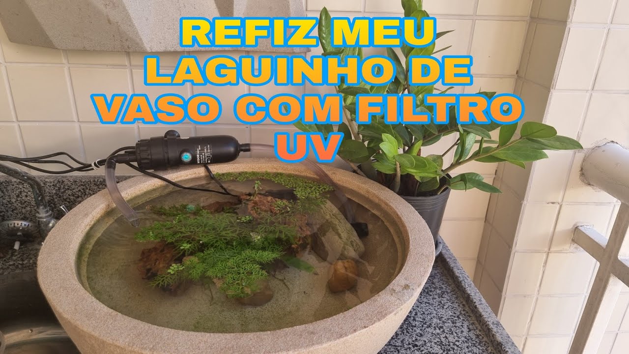 Fiz um laguinho em um vaso com direito a filtro UV e plantas.  Passo a passo da montagem