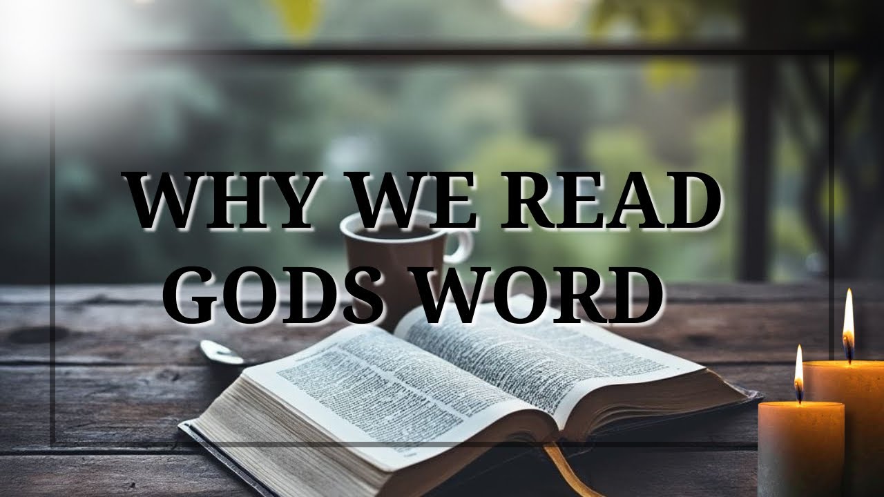 How To Start Your Day | Gods Word Of Course