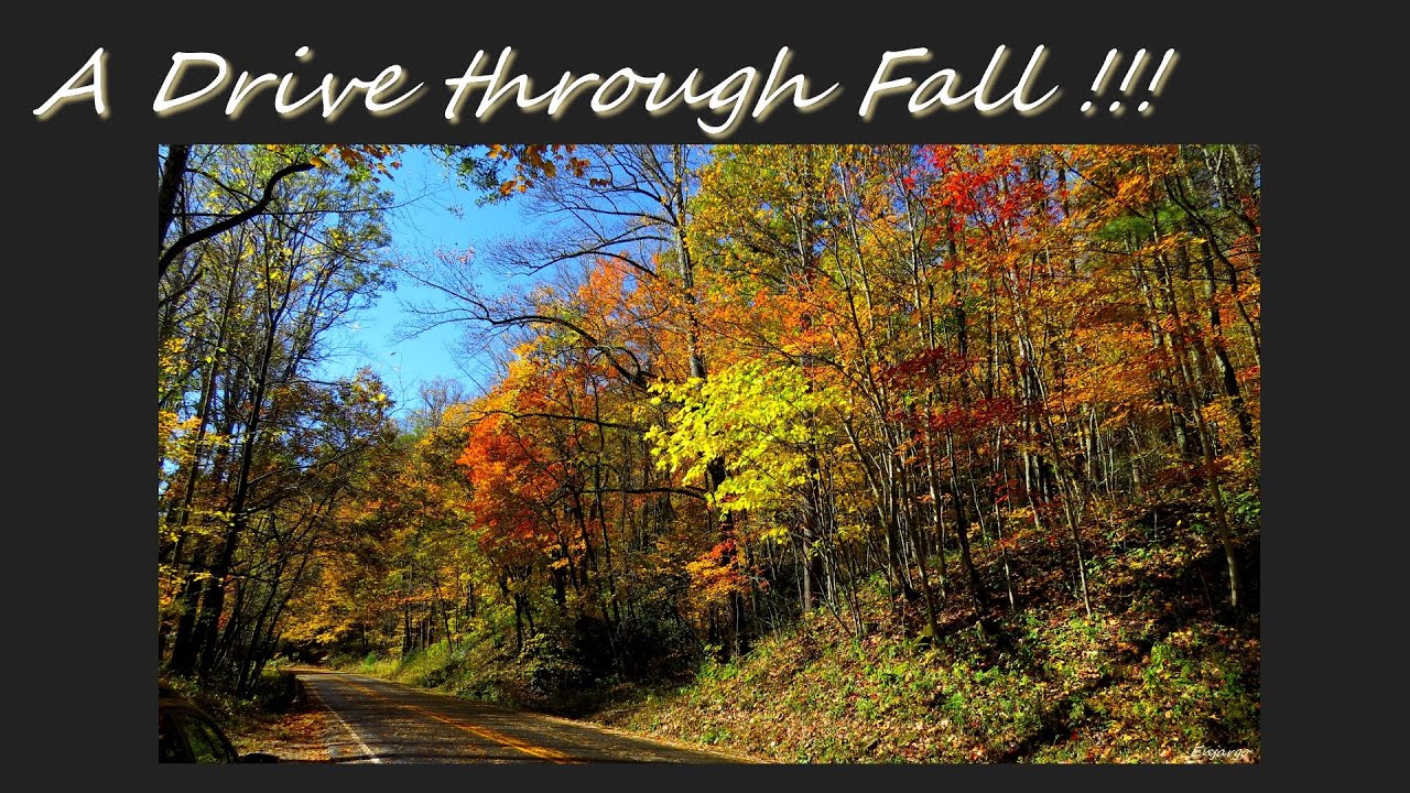 Mystic Crock-Past and Future-Black Arc