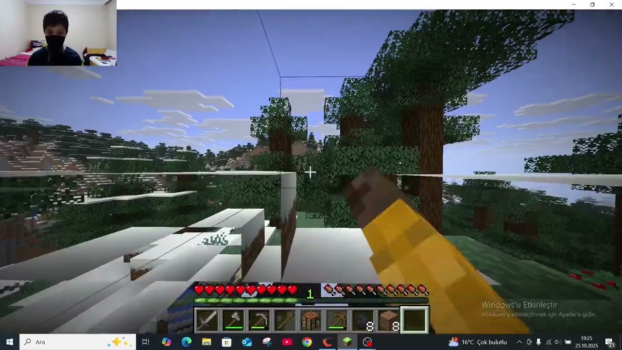 minecraft ama çok büyük ve küçüğüm