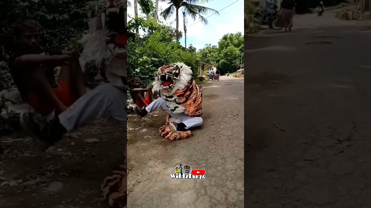 Can macanan salto kedepan