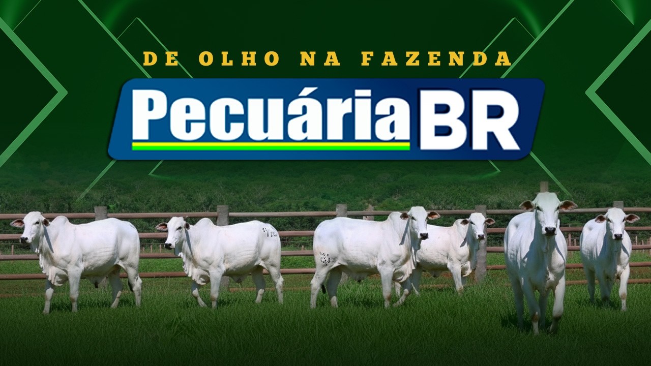 APRESENTAÇÃO DOS ANIMAIS - PECUÁRIA BR