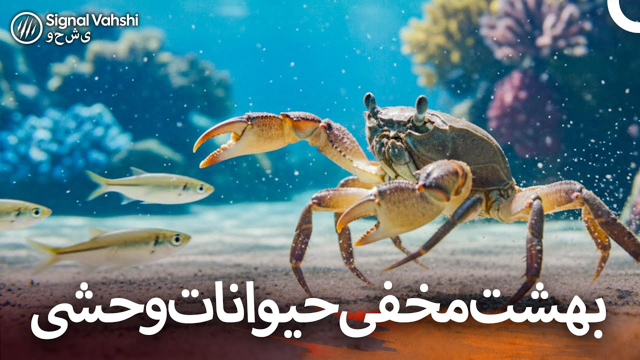 رازهای طبیعت آفریقا I دوبلهٔ فارسی