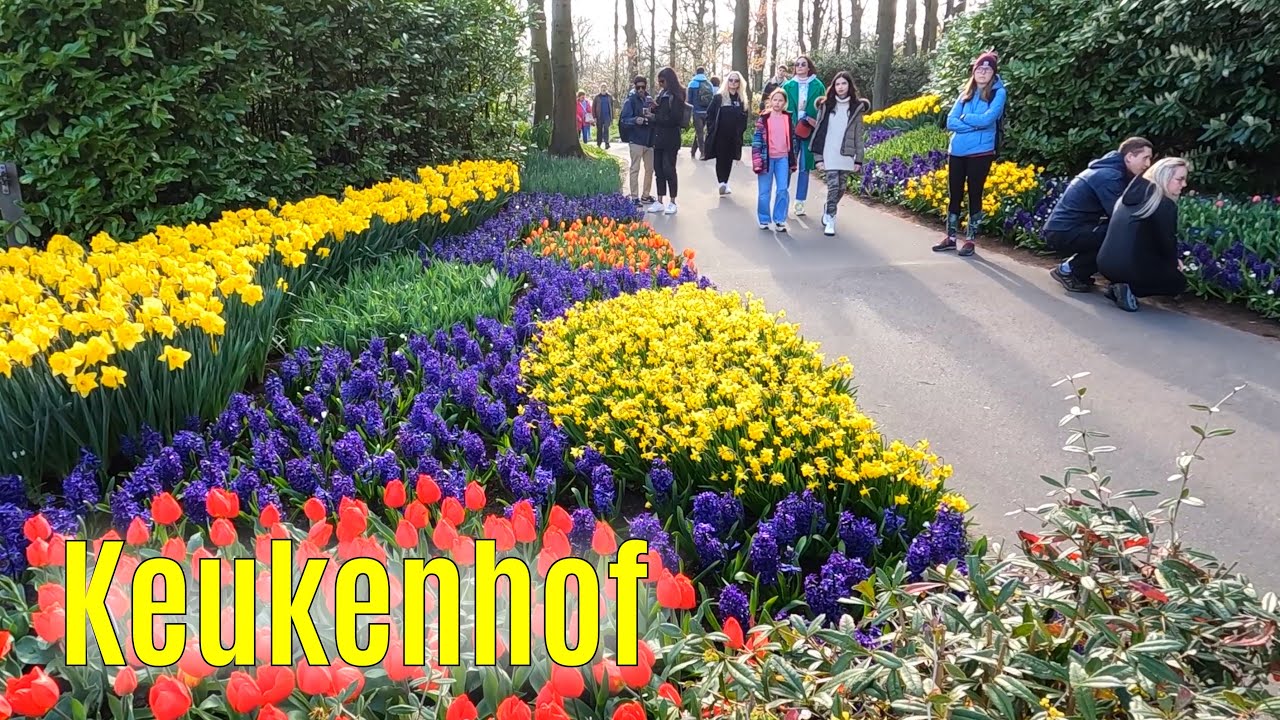 Keukenhof - The most beautiful spring garden in the world! - 2023 part 3