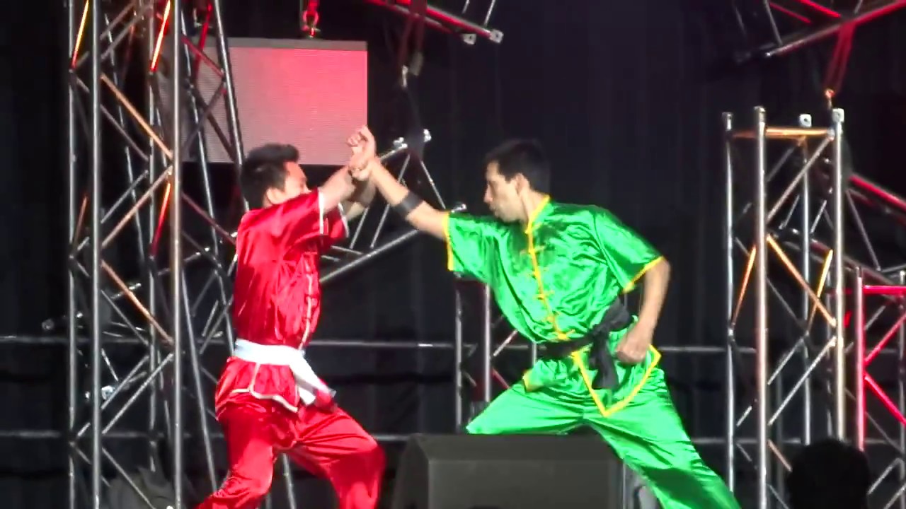 Kung Fu Demonstration at Sakura-Con 2015