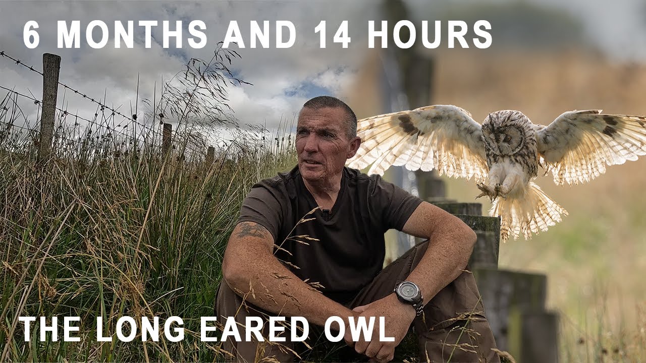My Journey to photograph the Long Eared Owls