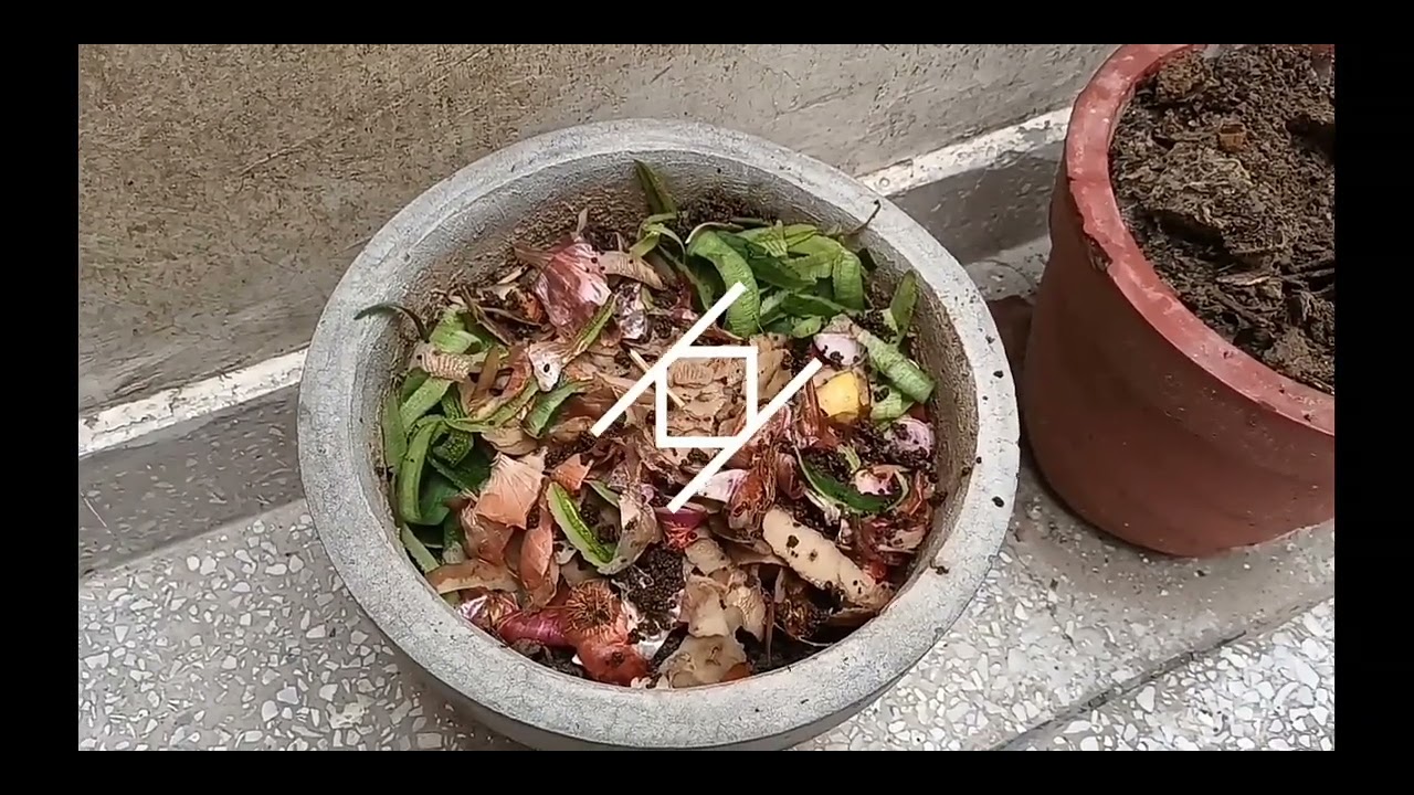 Homemade organic compost,Part-1#nature #plants #new #connect #parul panwar