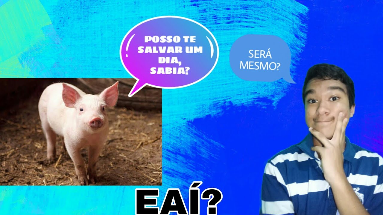 10 CURIOSIDADES, SOBRE O MUNDO ANIMAL!