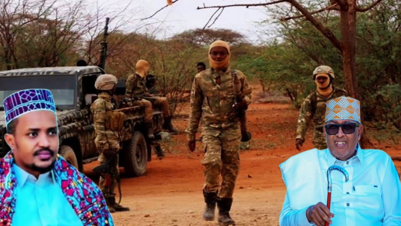 Dawo dagaalka Awdal & selal ceebta hargeysa xil. maxamed abiib oo siro ka shifay ciro aya hurinayo
