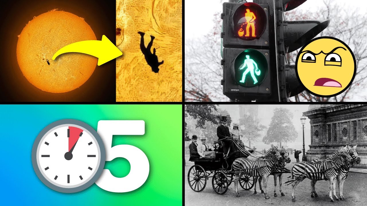 25 Cosas que NO Sab&iacute;as hace 5 minutos!! ⏰😲 [256]