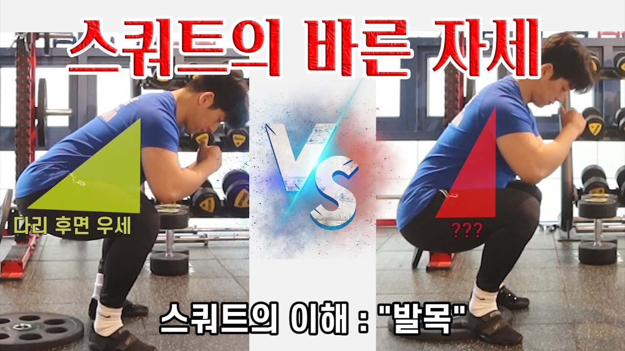 어떤 스쿼트 자세가 좋은 걸까? | 스쿼트의 이해 