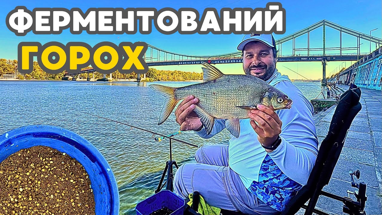 Ловля ЛЯЩА на ФЕРМЕНТОВАНИЙ ГОРОХ. Фідер в центрі Києва