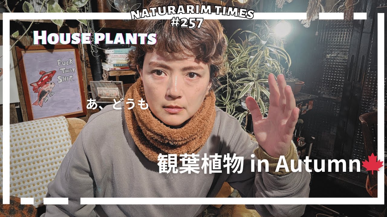 【#観葉植物 】この良さを広めたい！不恰好な植物の偉大さ🪴 ⁨@naturariumtimes⁩