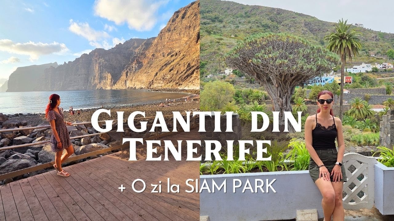 Adrenalina la SIAM PARK! Locul preferat din TENERIFE si un copac vechi de 1000 de ani | LOS GIGANTES