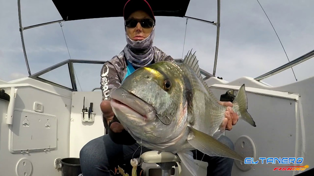 FISHING AND CAPTURE OF SEABREAM AND CATCH&RELEASE BY  EL TANERO FISHING