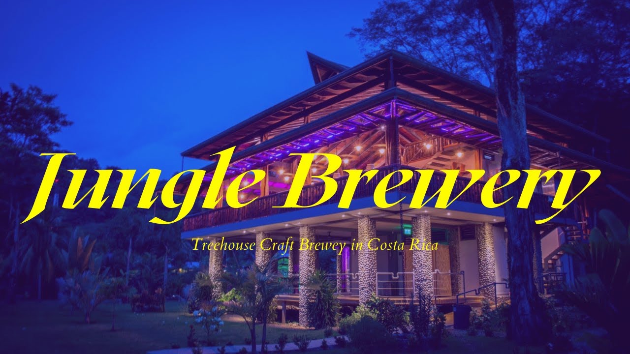 Treehouse Craft Brewery in the Jungle of Costa Rica