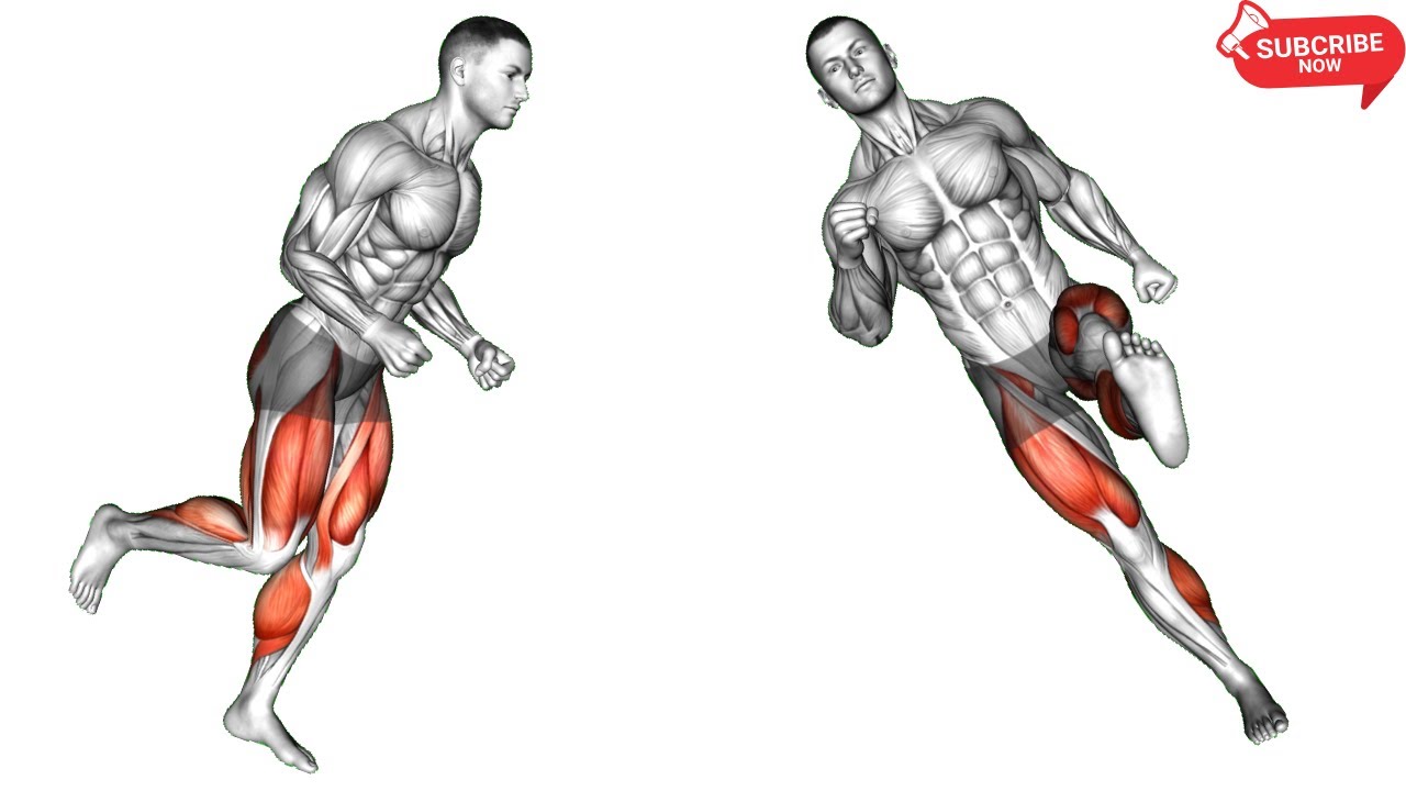 Full Body Cardio Circuit for Beginners - No Heavy Weights.