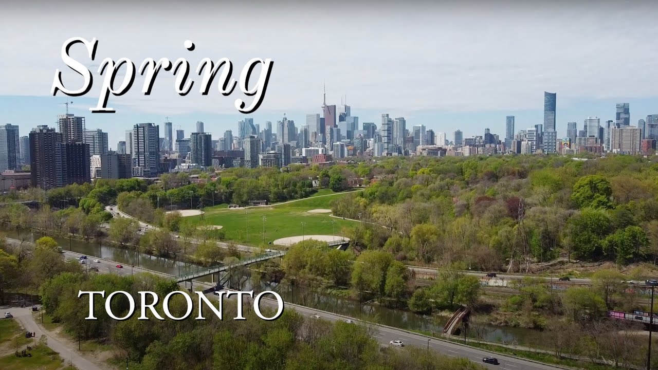Toronto Spring | Cherry Blossoms Sakura | DJI Mini 2 Pocket 2 | Canadian City Drone Aerial 2022 4K