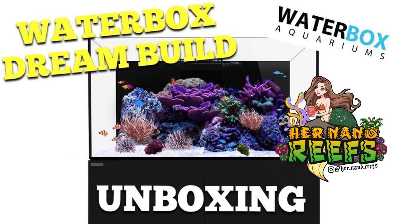 Waterbox Dream Tank : Delivery & Unboxing