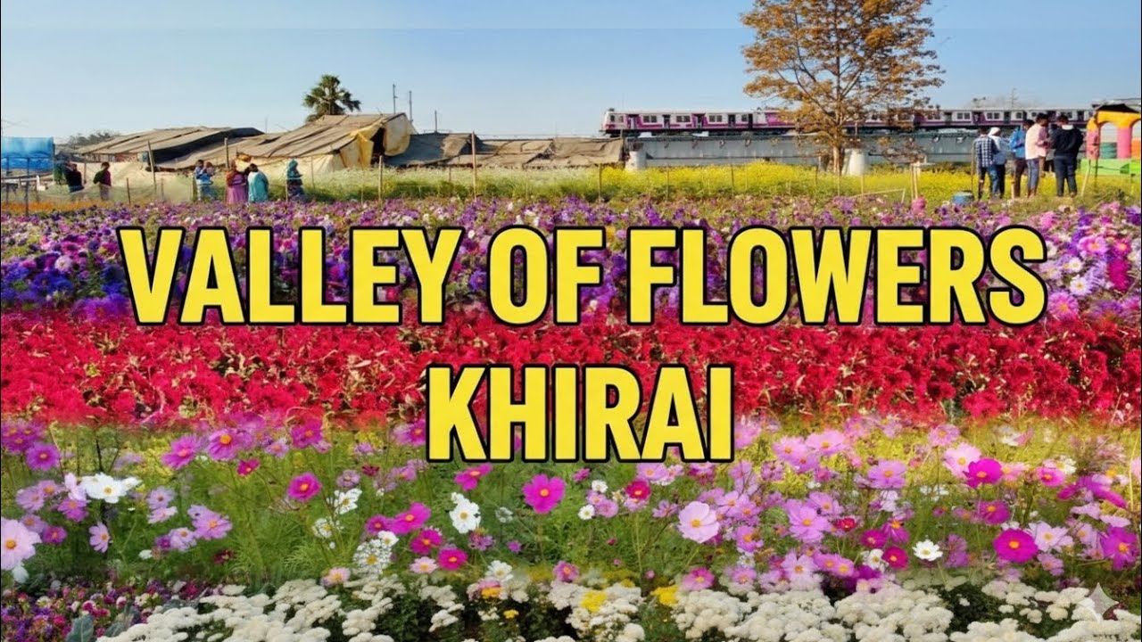 বাংলার Valley of Flowers 😲 | Khirai Flower Garden Full Tour | Near Kolkata ||