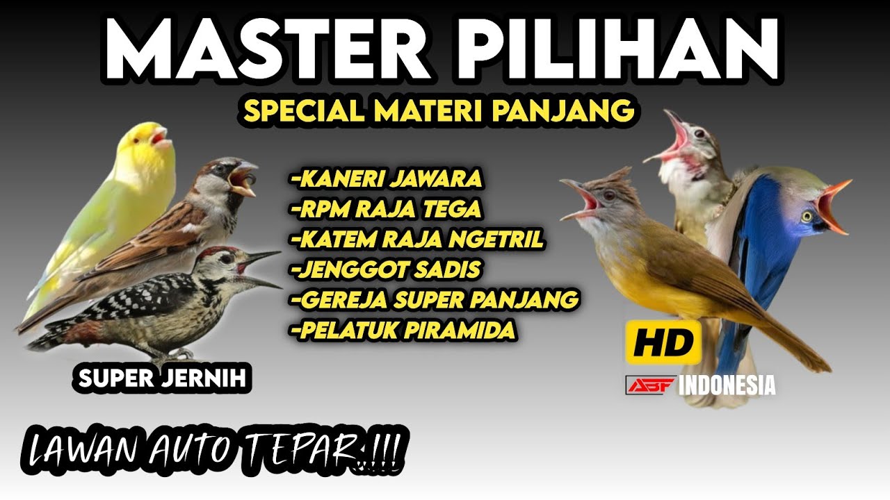 Super jernih !! SPECIAL MASTERAN BURUNG JUARA TERBAIK 2025 ||Lawan auto tepar‼️