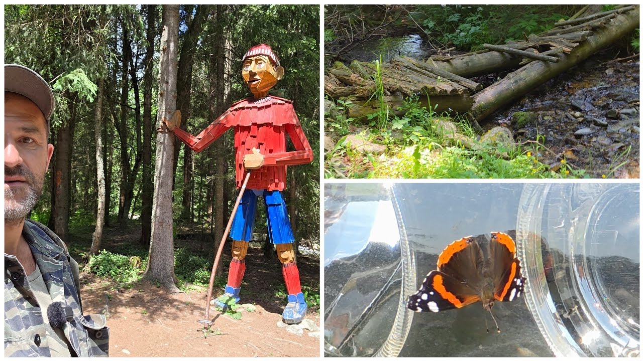 Výlet 06/25, časť 3 - vystrašil ma motýľ, prechádzka cez medveďovo (Pribylina, Vysoké Tatry)